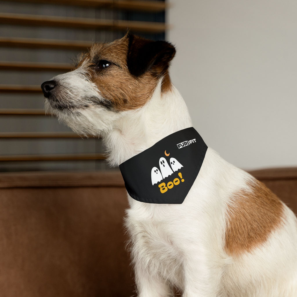 Pet Bandana Collar | 'Boo' with Ghosts (on black)