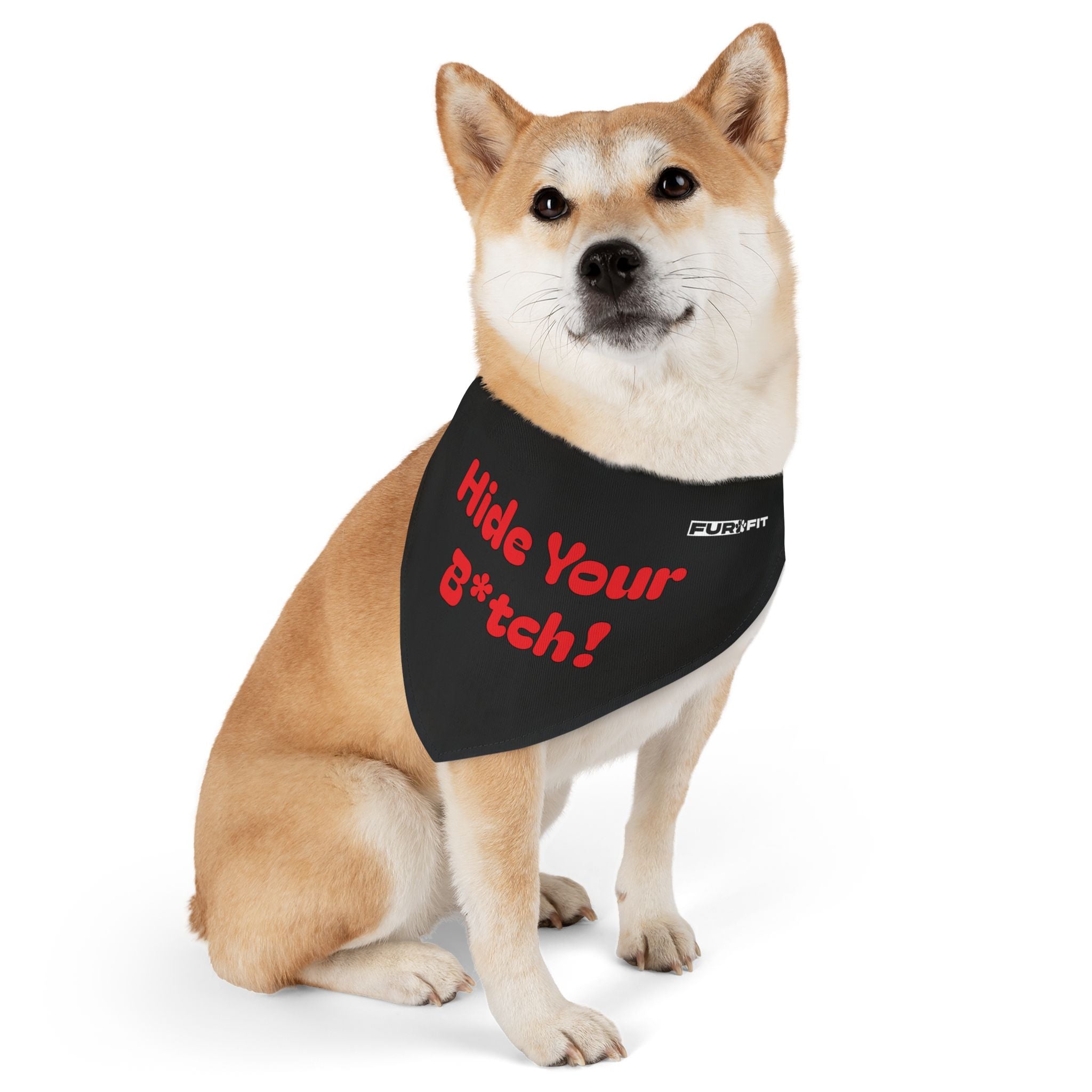 Pet Bandana Collar | 'Hide Your B*tch!'