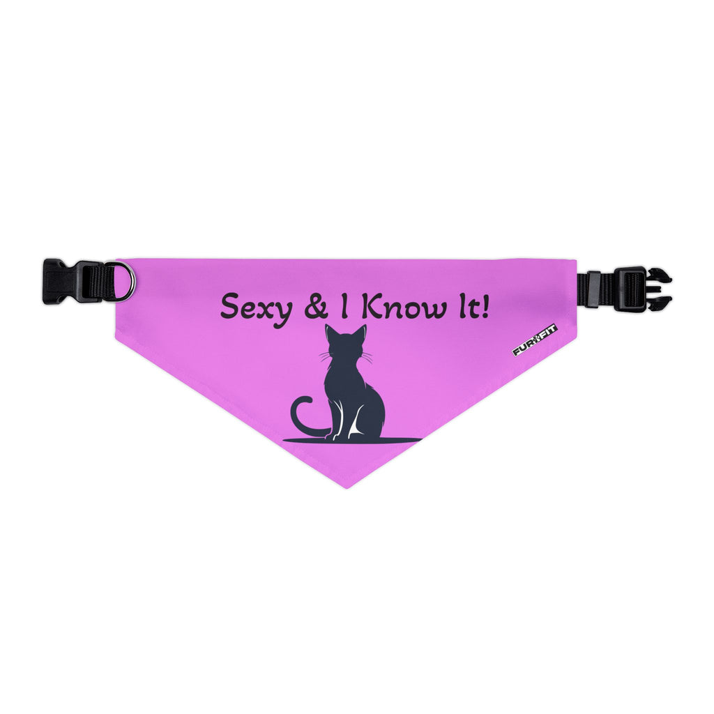 Pet Bandana Collar — "Sexy & I Know It!"