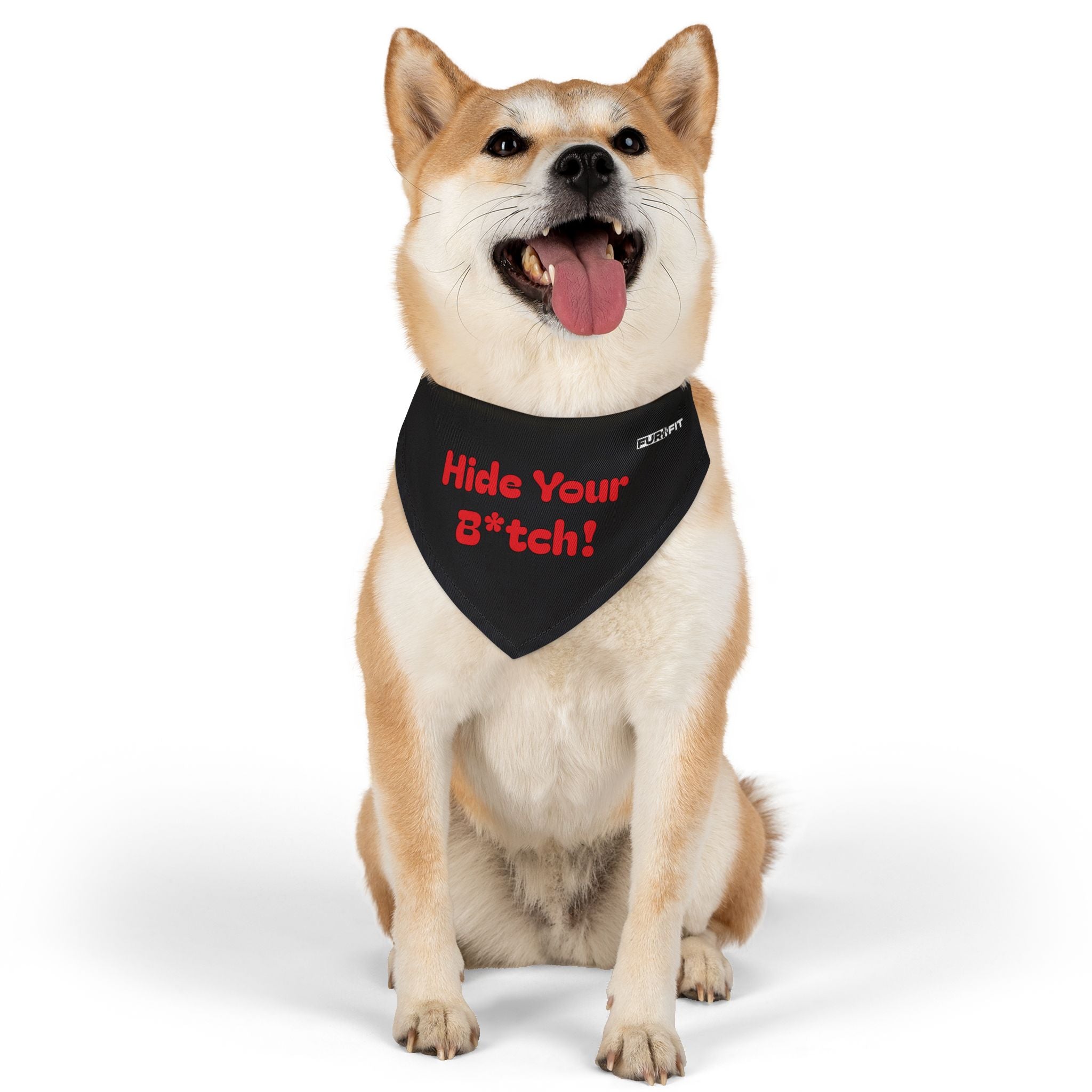 Pet Bandana Collar | 'Hide Your B*tch!'