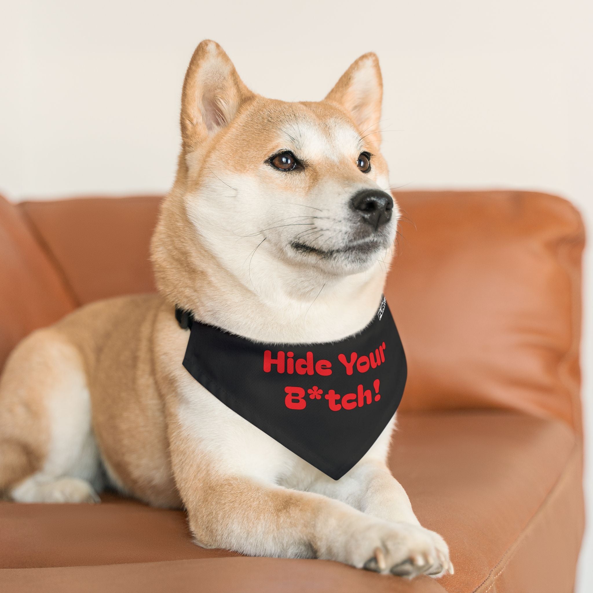 Pet Bandana Collar | 'Hide Your B*tch!'