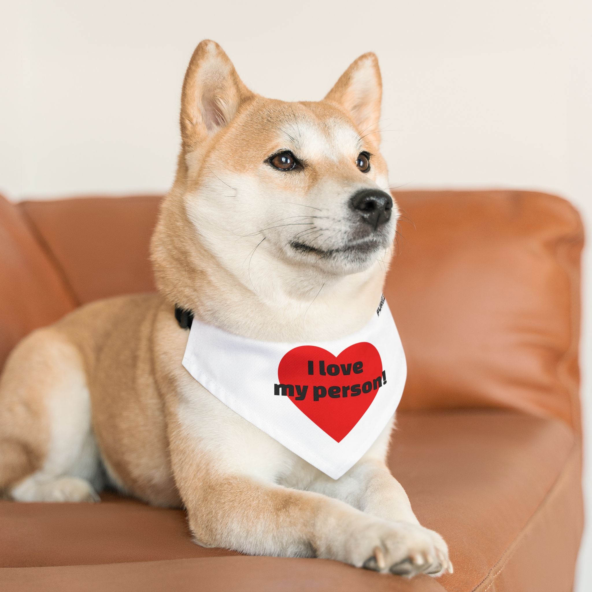 Pet Bandana | 'I love my person!'