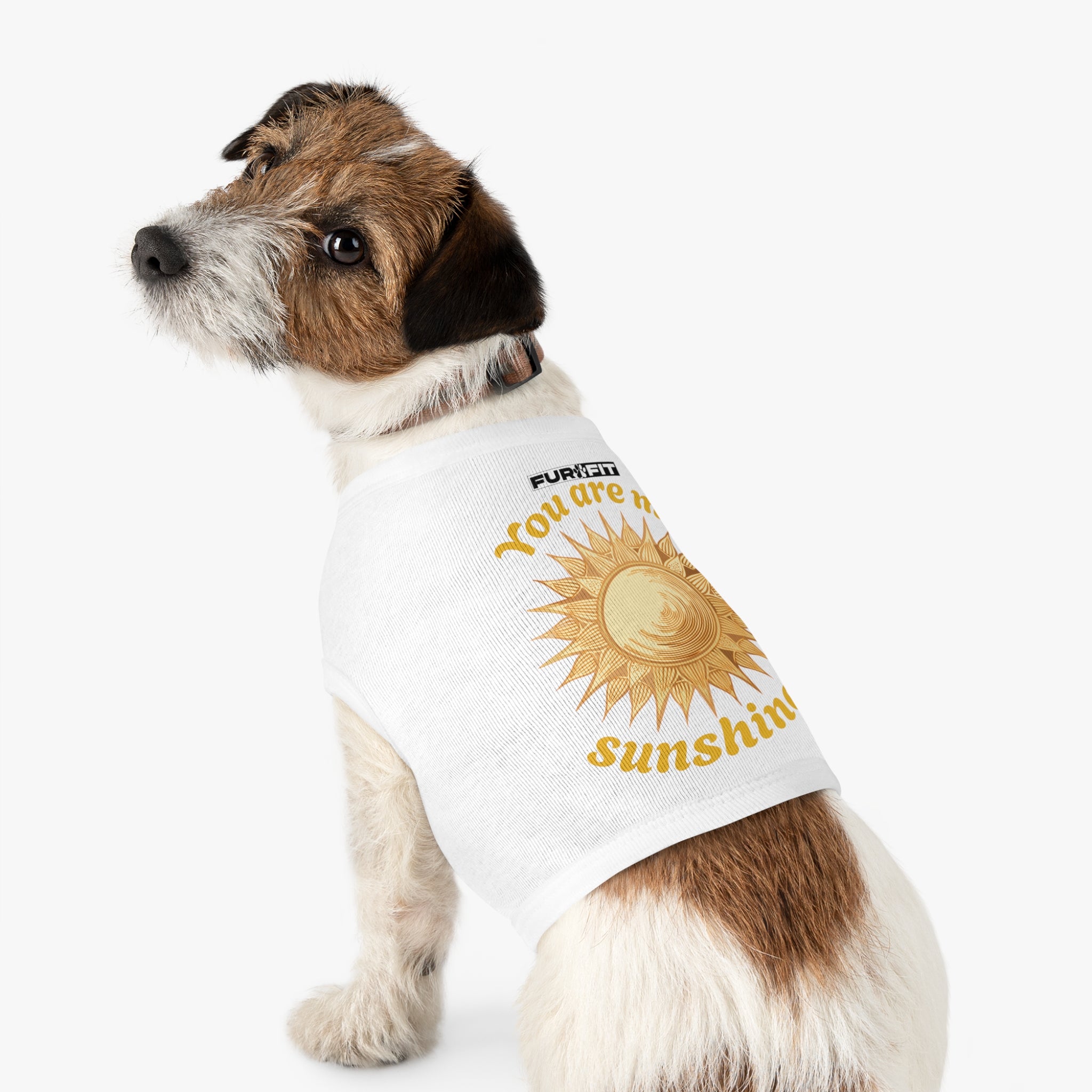Pet T-shirt | "You are my sunshine!"