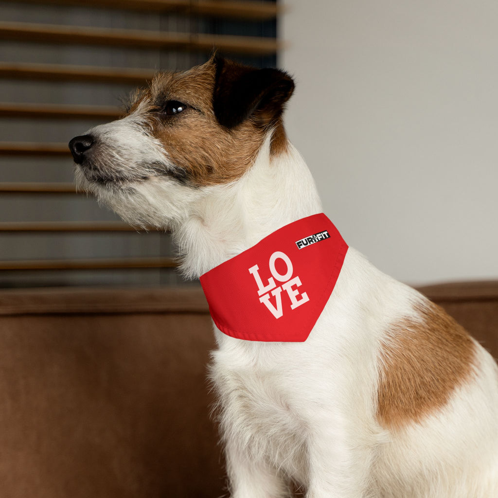 Pet Bandana Collar | 'LOVE'