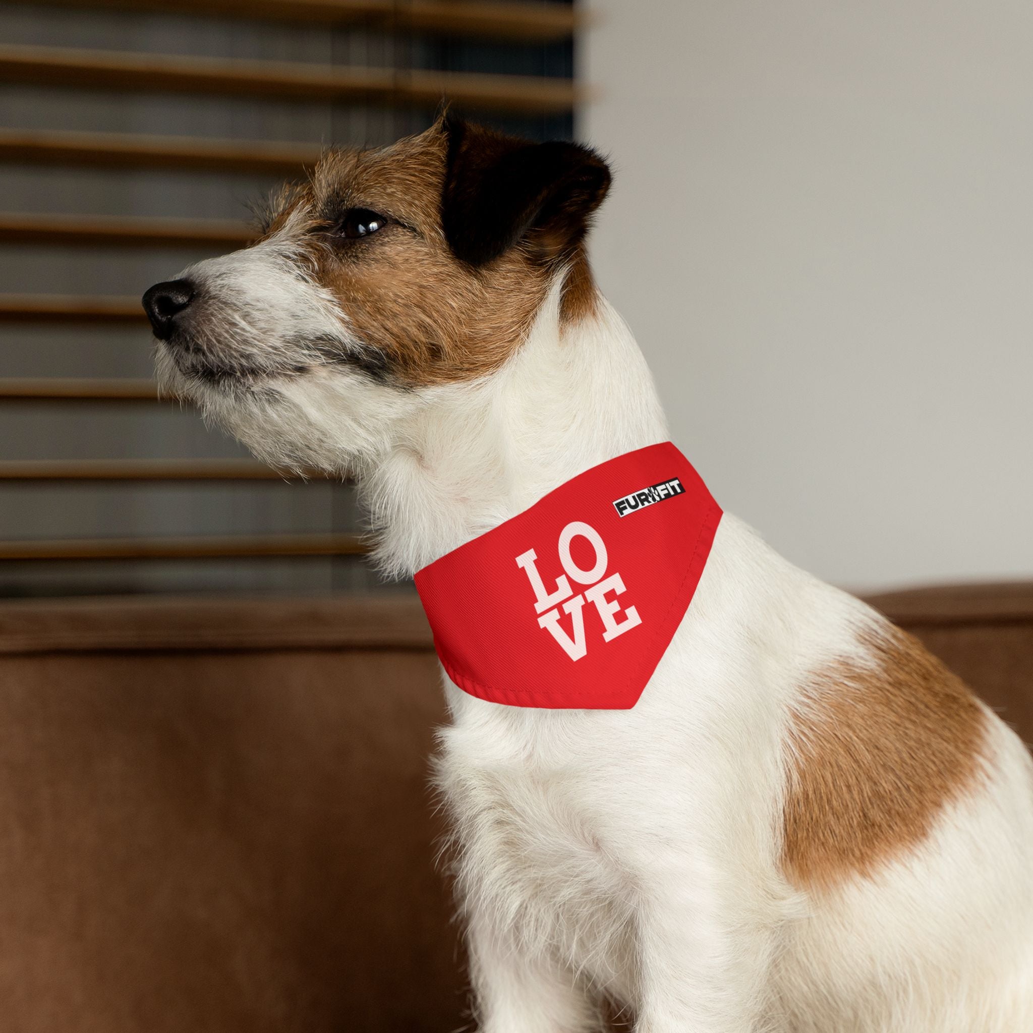 Pet Bandana Collar | 'LOVE'