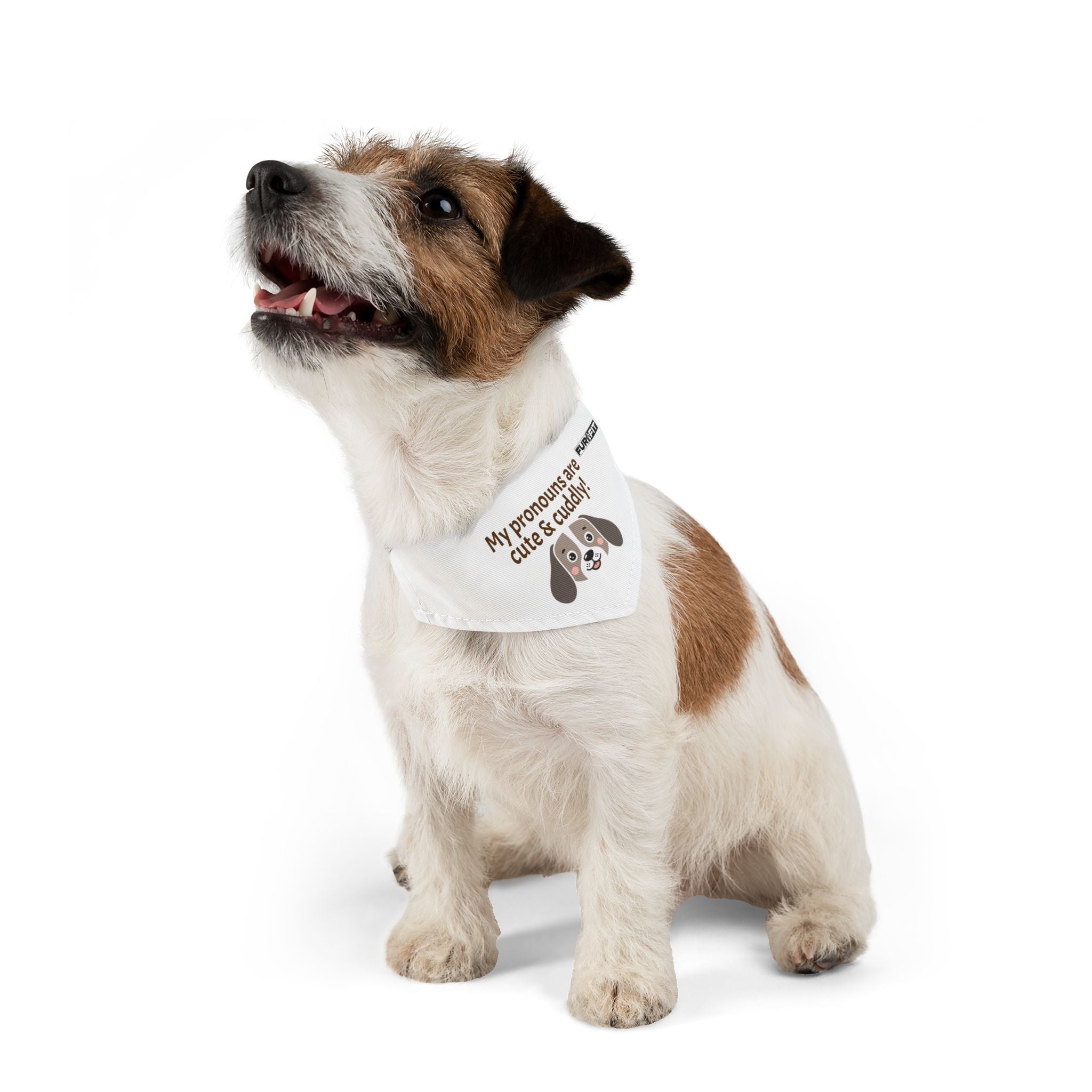 Pet Bandana Collar | 'My pronouns are cute & cuddly'