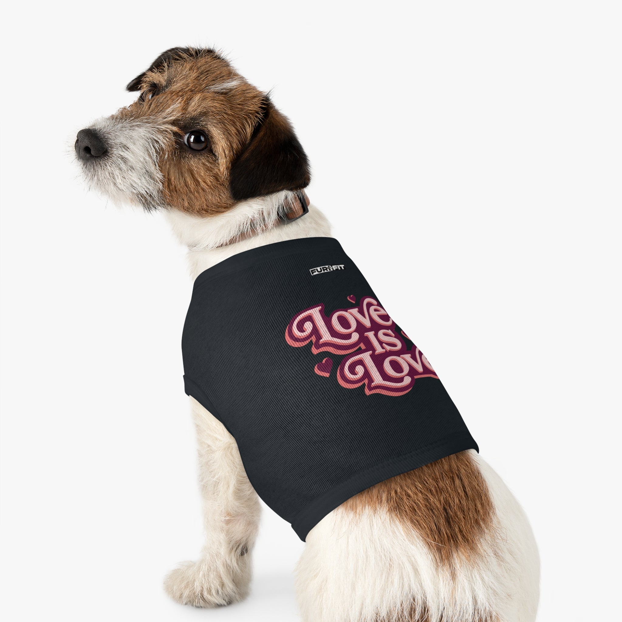 Pet T-shirt | "Love is Love"