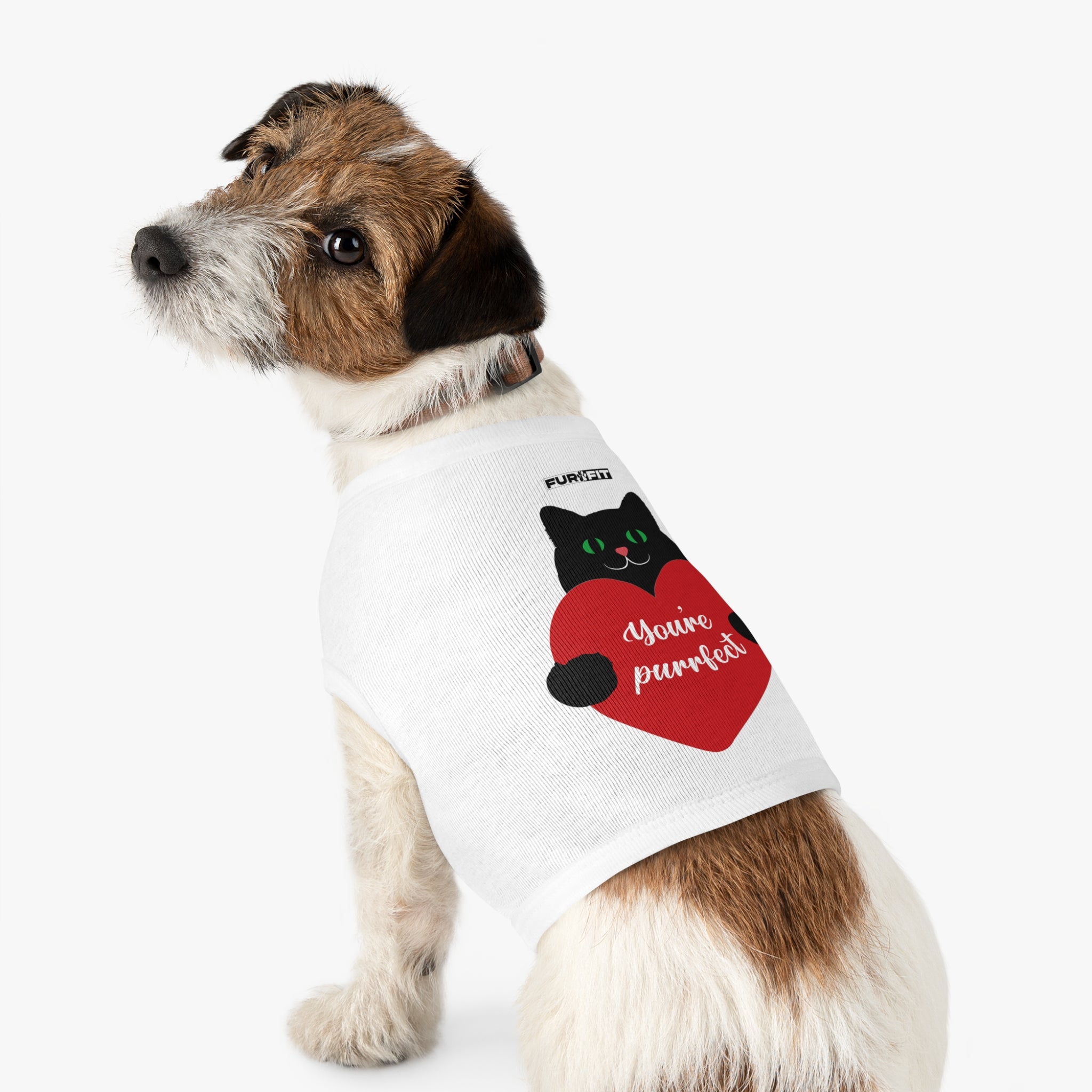 Pet T-shirt | "You're Purrfect"