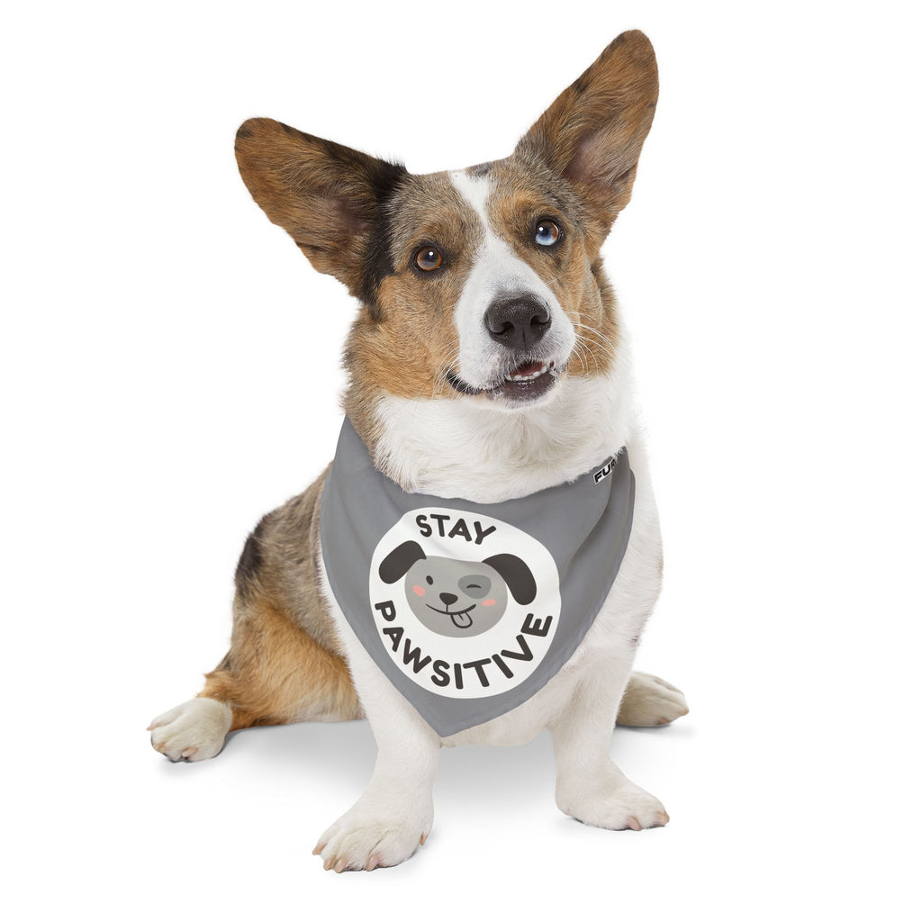 Pet Bandana Collar | 'Stay Pawsitive'