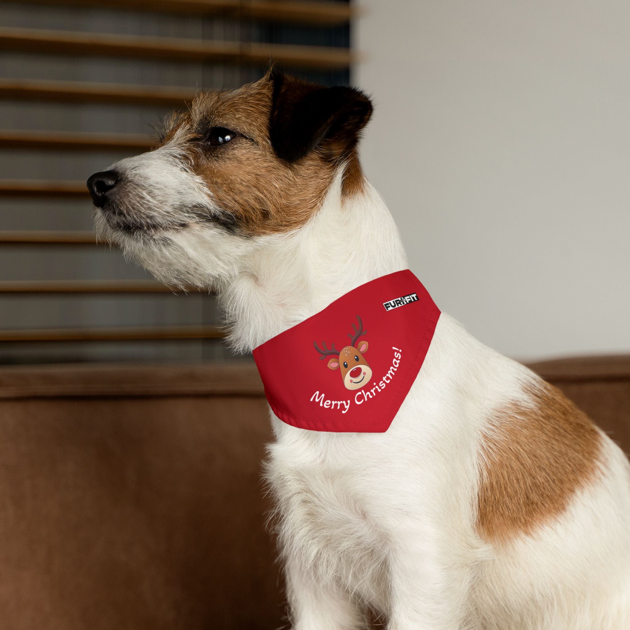 Pet Bandana Collar | "Merry Christmas" with Reindeer