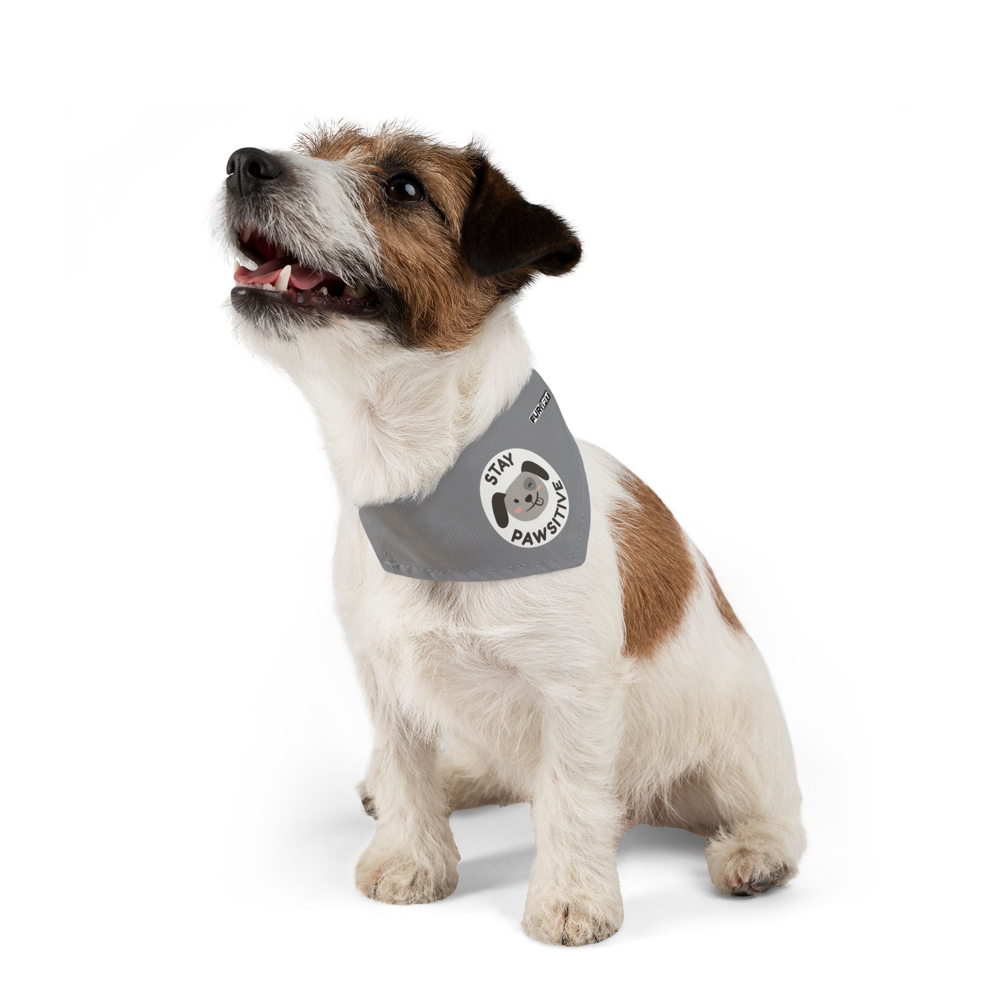 Pet Bandana Collar | 'Stay Pawsitive'