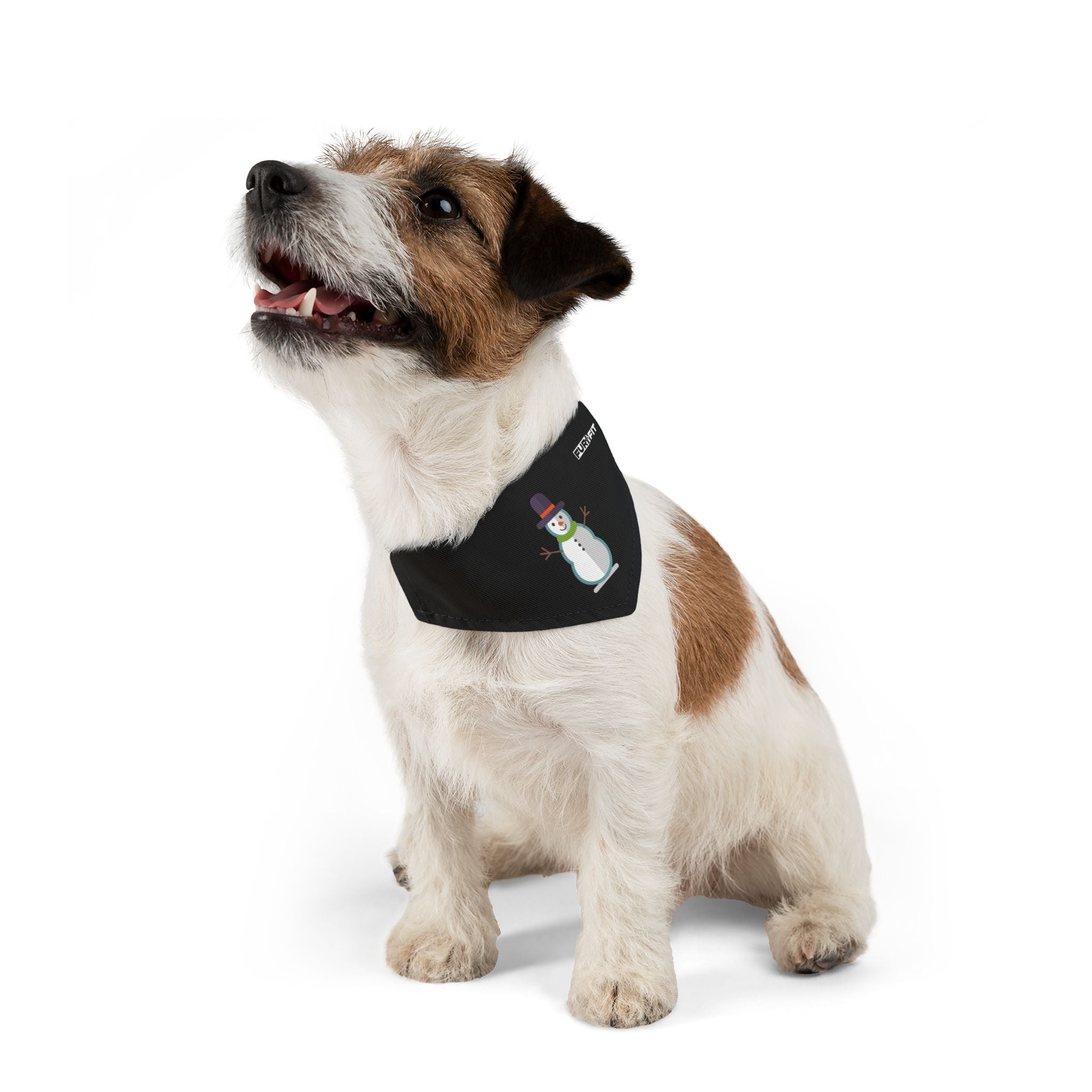 Pet Bandana Collar | 'Snowman' (on black)