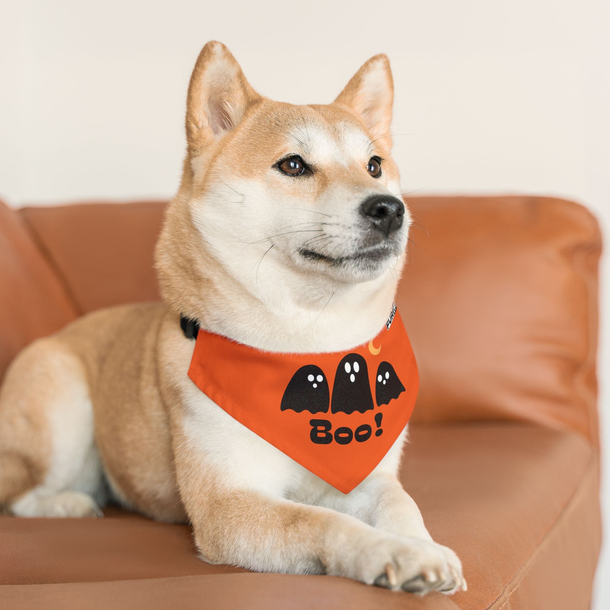 Pet Bandana Collar | 'Boo with Ghosts'(on orange)