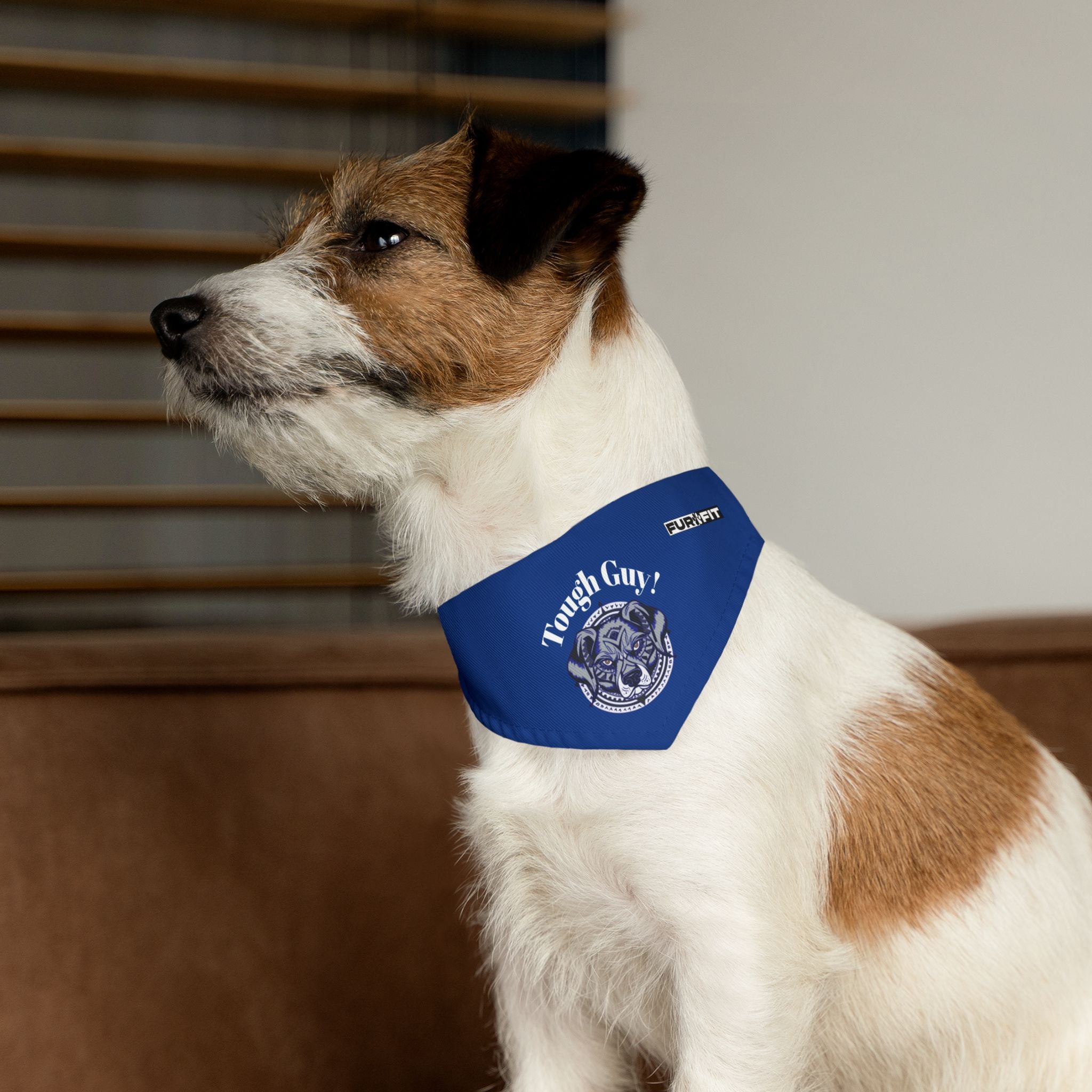 Pet Bandana Collar | 'Tough Guy!'