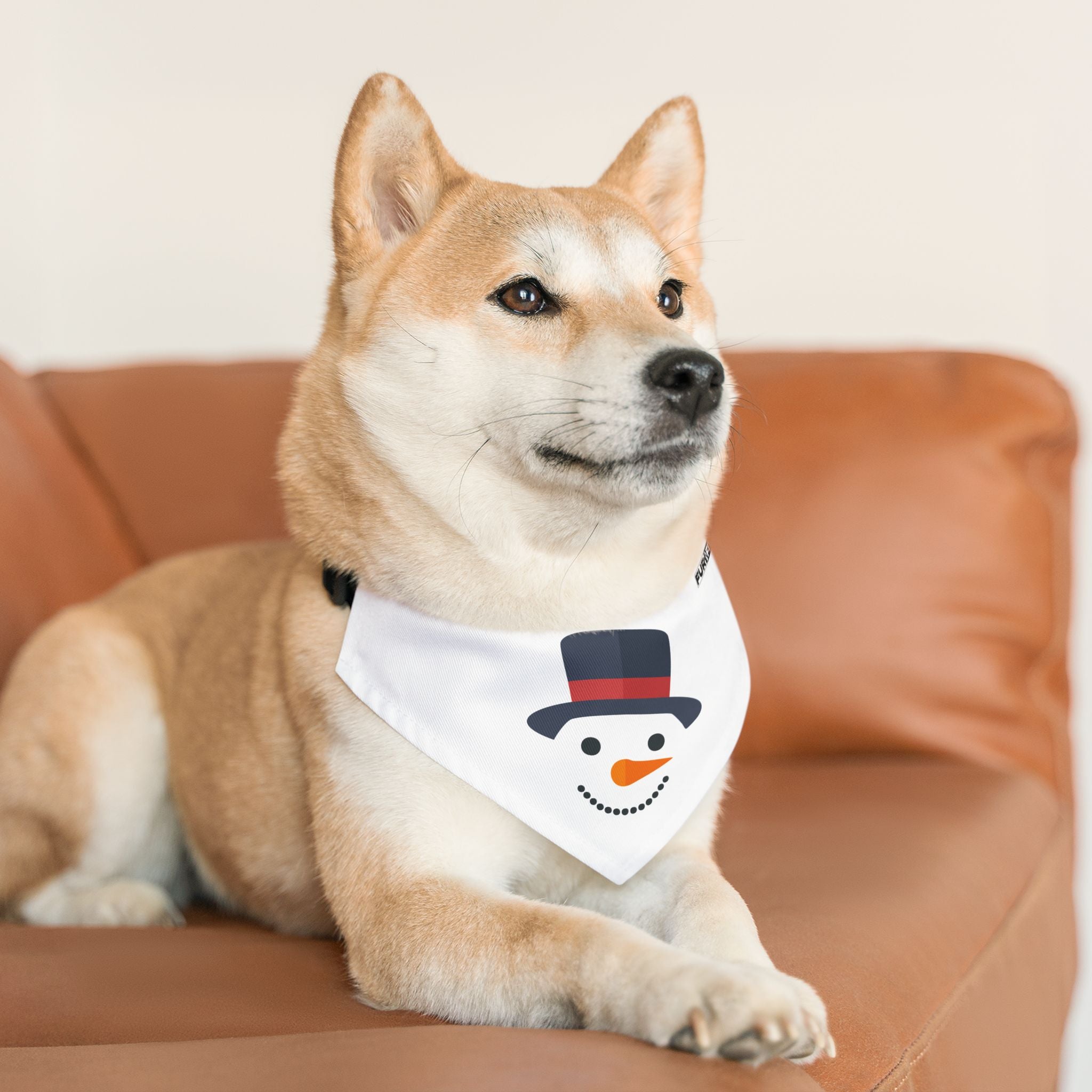 Pet Bandana Collar | "Snowman Face"