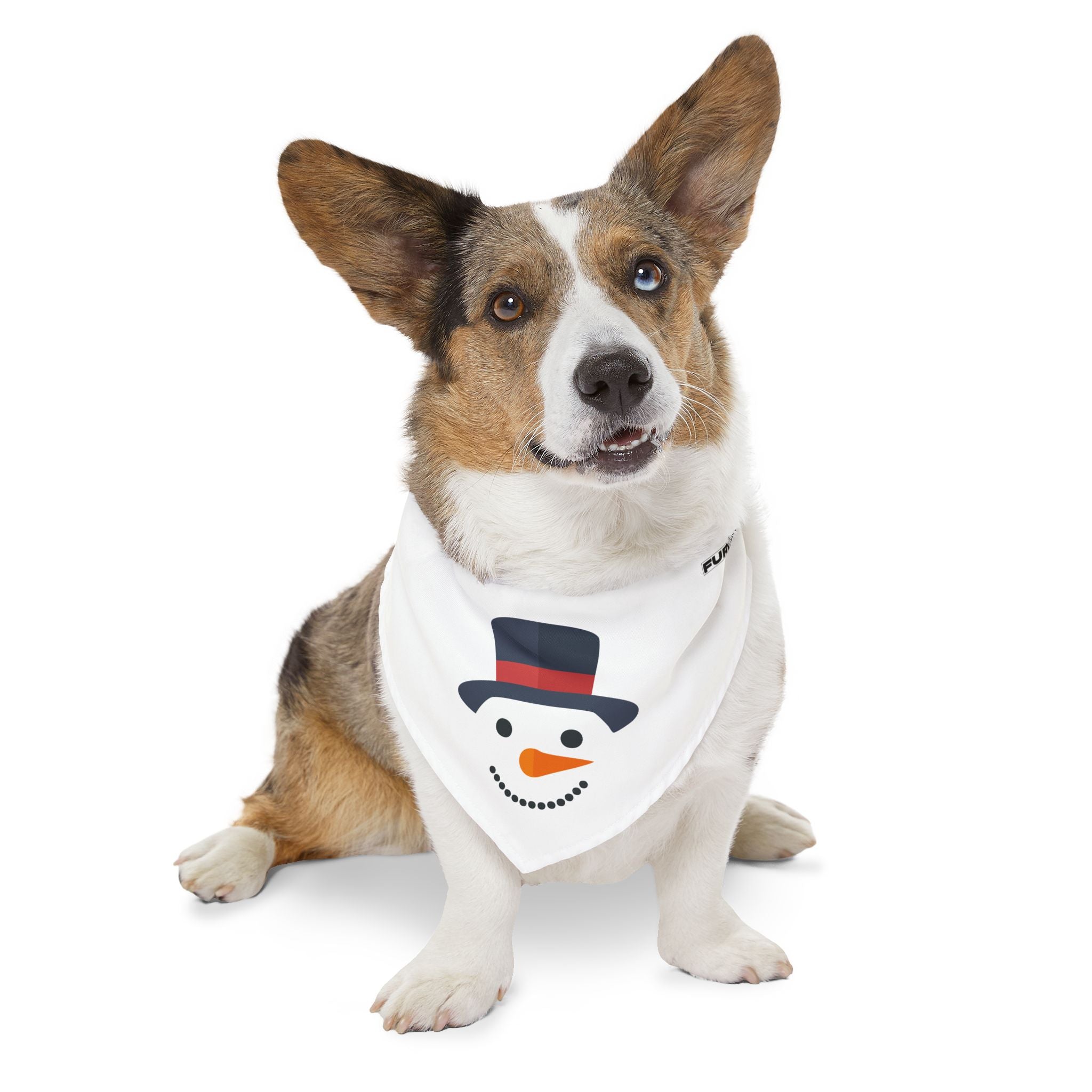 Pet Bandana Collar | "Snowman Face"