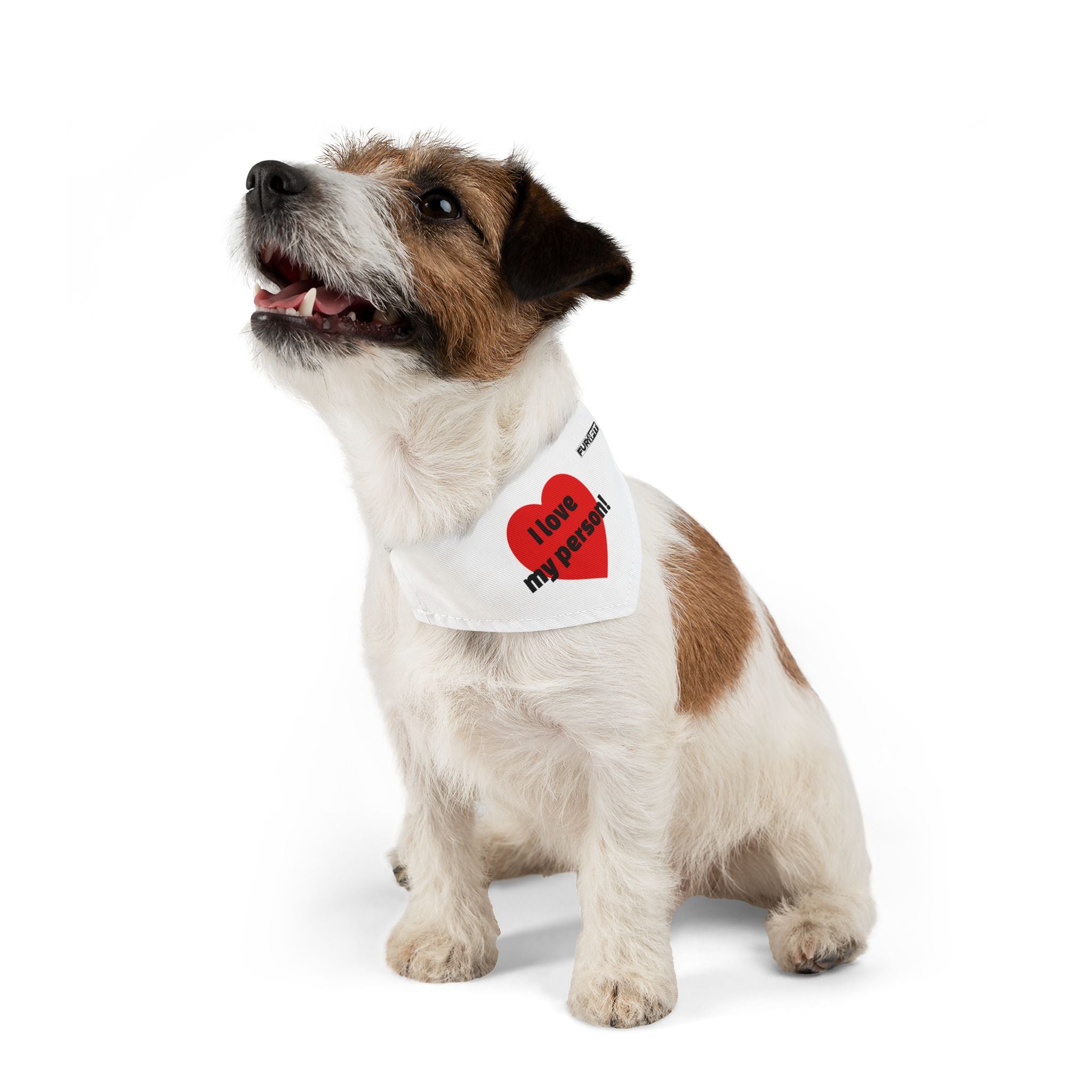 Pet Bandana | 'I love my person!'